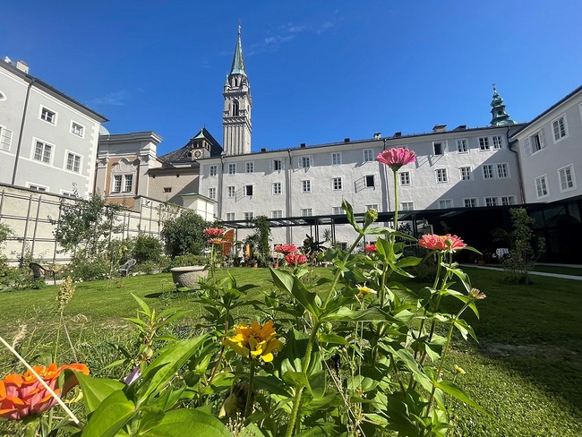 Der schöne alte Garten des Franziskanerklosters musste während der Generalsanierung weichen, doch mittlerweile sprießt wieder das Grün.