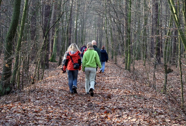 Gemeinsam mit anderen schlägt  man dem saisonalen Lichtmangel ein Schnippchen und rafft sich leichter auf, an die frische Luft zu gehen – selbst  an trüben Tagen.